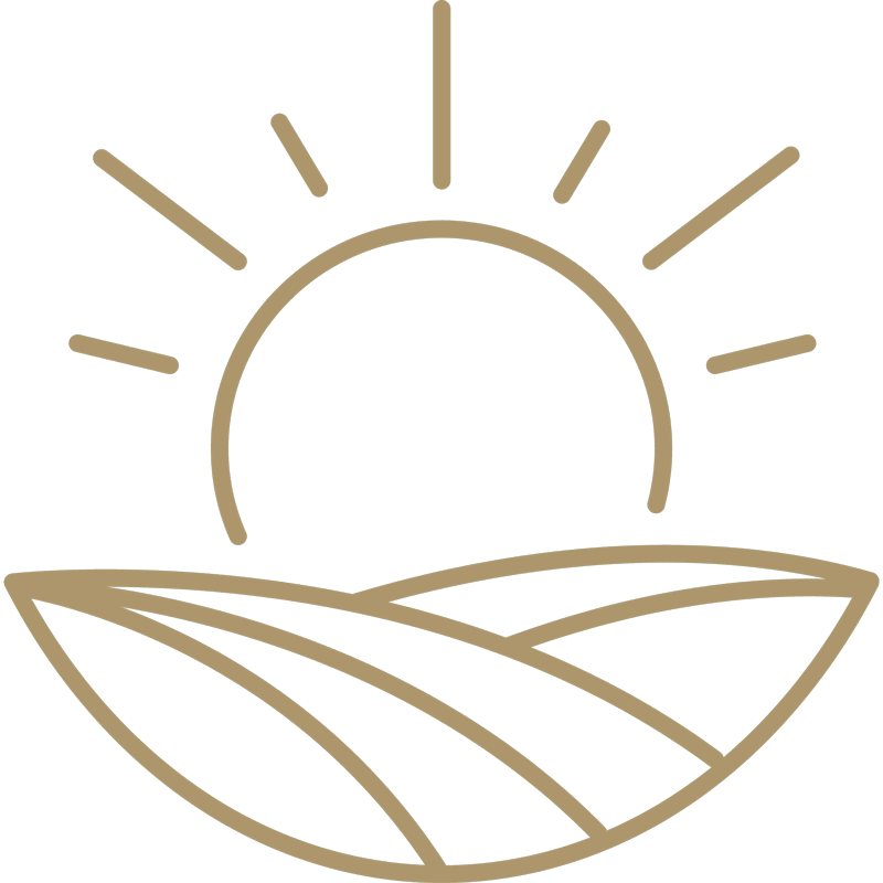 Weingut Eine minimalistische Linienzeichnung einer aufgehenden Sonne mit Strahlen über stilisierten Feldern, die den Sonnenaufgang über Ackerland andeuten. Das Design verwendet einfache, gebogene und gerade braune Linien auf weißem Hintergrund.